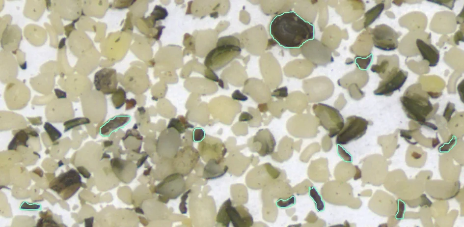 How AI Cut Allive's Hemp Seed Inspection From 30 Minutes to Seconds