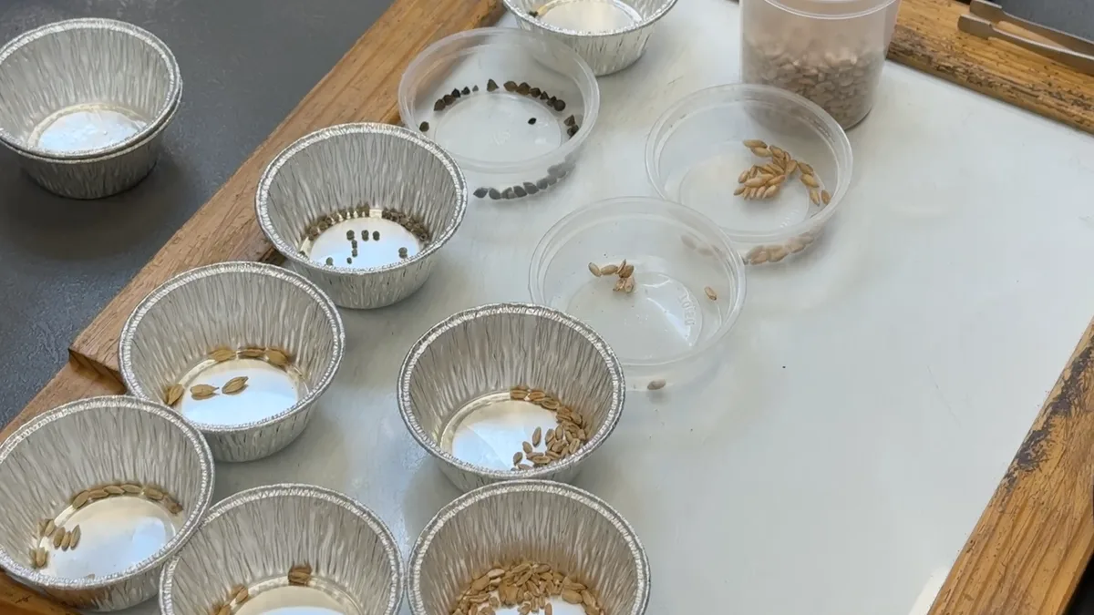 Separated impurity fractions in individual weighing dishes during EN 15587 besatz determination